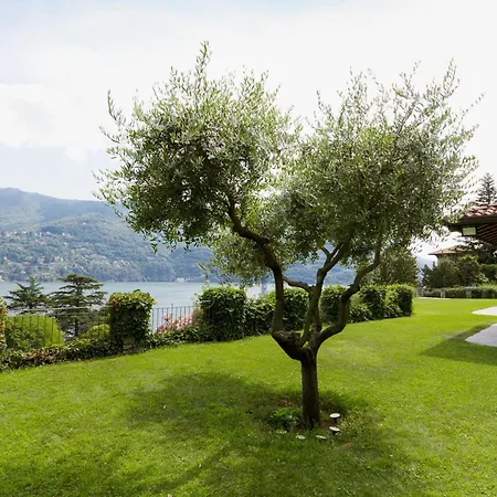 Hotel D'oro - View With Pool *